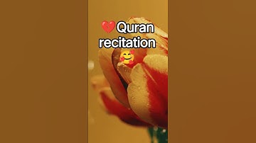 تلاوة للقرآن الكريم🥰 شعيب أبو طلحة💔#quran #المصحف #اكسبلور