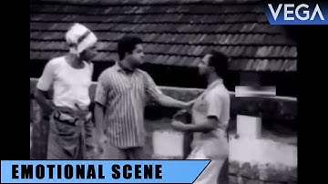 Prem Nazir Slaps Bahadhur || Thurakkatha Vathil Movie Scenes