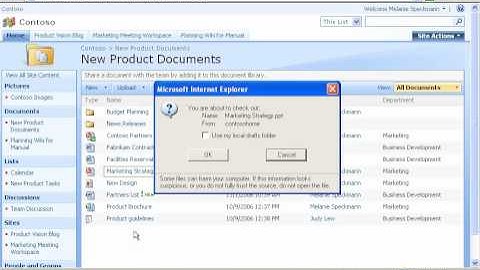 Windows SharePoint Services 3 0