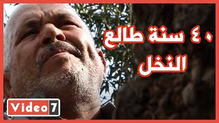 40 سنة طالع النخل .. شوف عم سيد صاحب أقدم مهنة في التاريخ