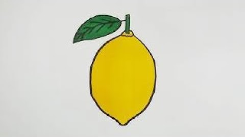 How to Draw Lemon Step by Step l Easy Lemon Drawing