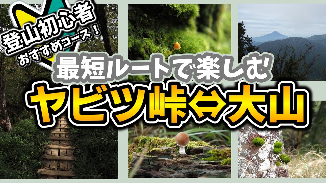 Tanzawa [Yabitsu Pass ⇔ Oyama Summit] Beginners to mountain