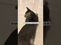 “Mama Eks sam ajak si Semangat masuk di rumah main dan dia bahagia