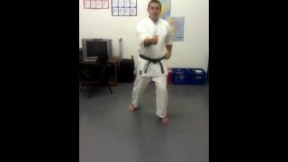 Isshin Ryu 15 Basics