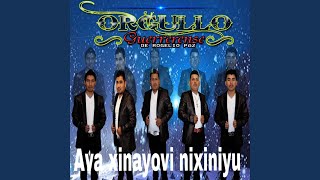 Video thumbnail of "Orgullo Guerrerense de Rogelio paz - Ava xinayovi nixiyu"