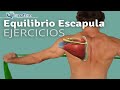 EQUILIBRIO ESCAPULA - HOMBRO: EJERCICIOS para evitar DOLOR | Fisiolution