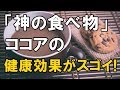 【衝撃】神様の食べ物「ココア」ピュアココアがもたらす健康効果がとんでもなく凄い！？