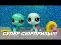 LPS: МЕГА посылка от канала Ева  Мартынова