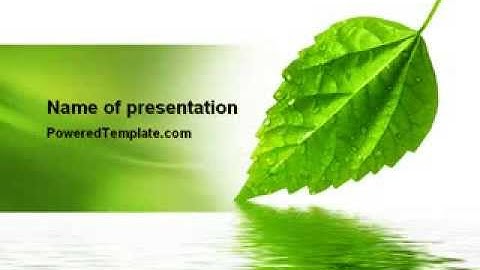 Green Leaf Falling PowerPoint Template by PoweredTemplate.com