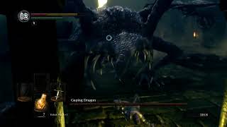 Dark Souls Remastered | Caping Dragon