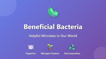 Beneficial Bacteria Explained: Digestion, Nitrogen Fixation & Decomposition | Microorganisms