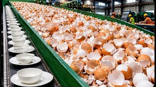 Millions Of Eggshells Turned Into Luxury Bowls Plates Inside A Recycling Factory