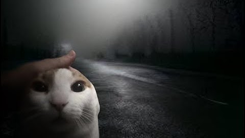 Silent hill 2 menu sounds with cats [original]