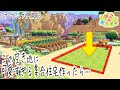 【ぽこあポケモン】パサパサこうやのまちに可愛すぎる集合住宅を作ったら…【PokemonPokopia】
