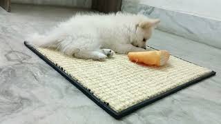 Loving Play