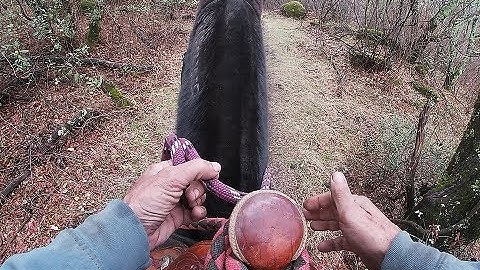 Your Hands On The Reins - Part 2 Solving Barn Sour Behavior and Balking, Mike Hughes, Auburn Ca.