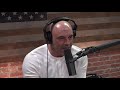 Dr. Cornel West on Socialism | Joe Rogan