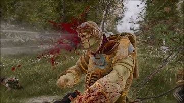 Fallout 4: Commonwealth Conifers vs Springtime Tree