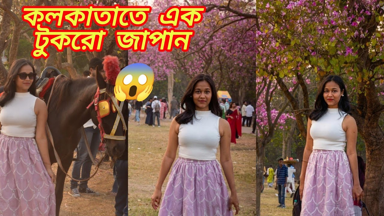 Mini Japan in Kolkata! 🌸চেরি ব্লসম দেখতে আর বিদেশ যেতে হবে না! না দেখলে বিশ্বাসই করতে পারবেন না😱