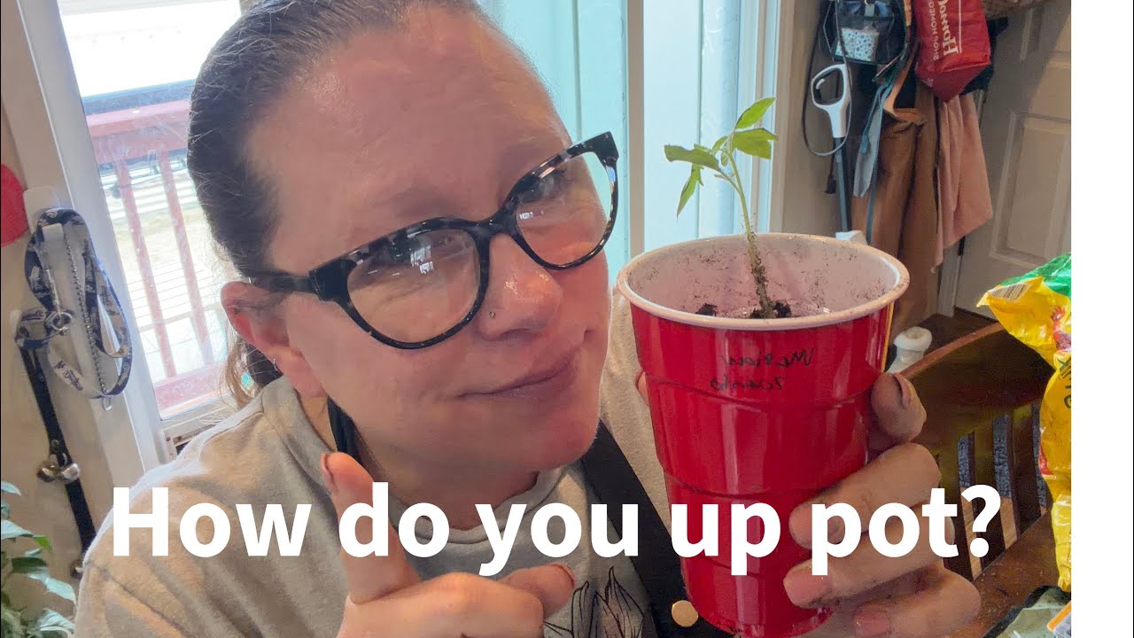 Up potting  plants…zone 5b #gardening 