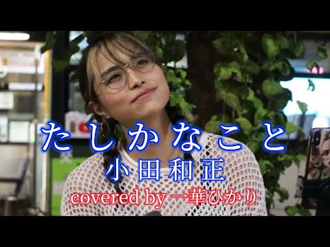 たしかなこと/小田和正 covered by《一華ひかり》 @ichikahikari