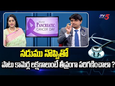 Health File : World Pancreatic Cancer Day | Dr Santosh Kumar Suggestions | Star Hospitals | TV5 News - TV5NEWS