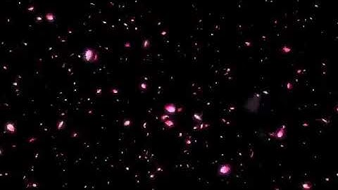 Hiệu Ứng Cánh Hoa Rơi Cực Đẹp.