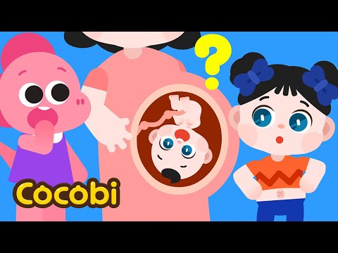 Why Do We Have Belly Buttons Songs For Kids Cocobi 