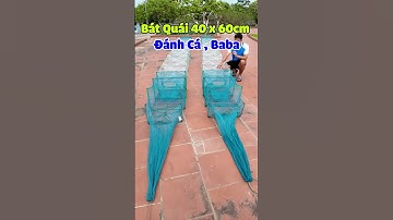 Lồng Bát Quái 40 x 60cm Đánh Cá , Baba Dài 9m5 - Nặng 5kg  #luoidanhcaatrung