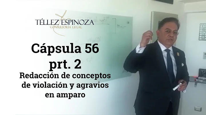 Cpsula 56 prt 2 Redaccin de conceptos de violacin ...