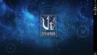 How to Purchase a Triseum™ Game