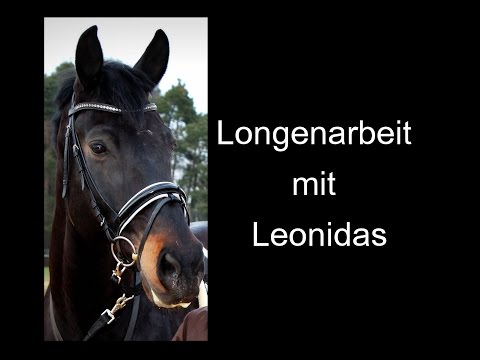 Video: Vloeistof In Die Longe By Katte