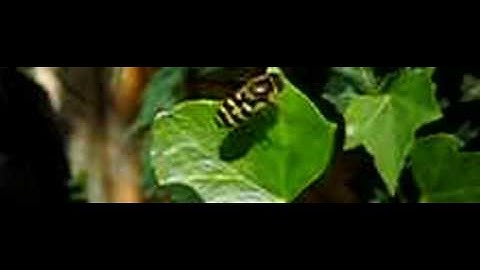 Casio EXILIM EX-FS10 high speed test