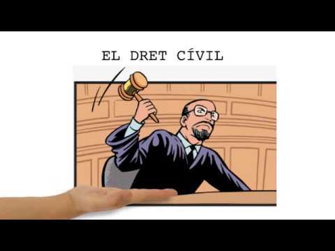 Vídeo: Com Protegir Els Vostres Drets Civils
