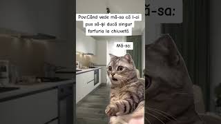 Cnd Vede Msa C Lai Pus Si Duc Singur Farfuria La Chiuvet 09022025
