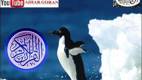 092 - سورة الليل - يوسف كالو