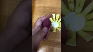 1101012 紙杯花 花蕊