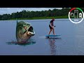 #156 Is PIRANHA Attacks a Myth? | Sailing Sisu Leopard 45 Catamaran