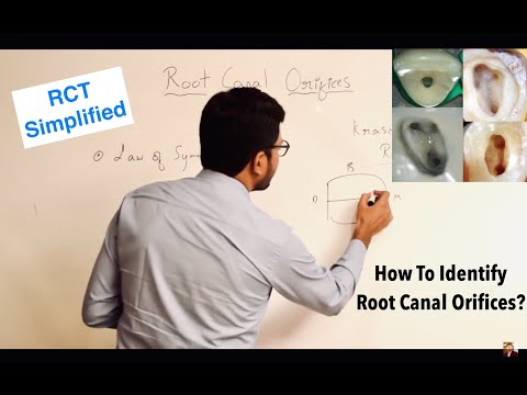 Video: Molar Anatomi, Definition Og Billeder - Body Maps