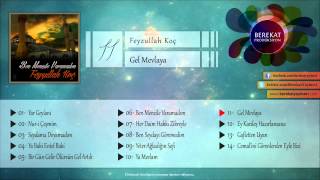 Gel Mevlaya - Feyzullah Koç Resimi