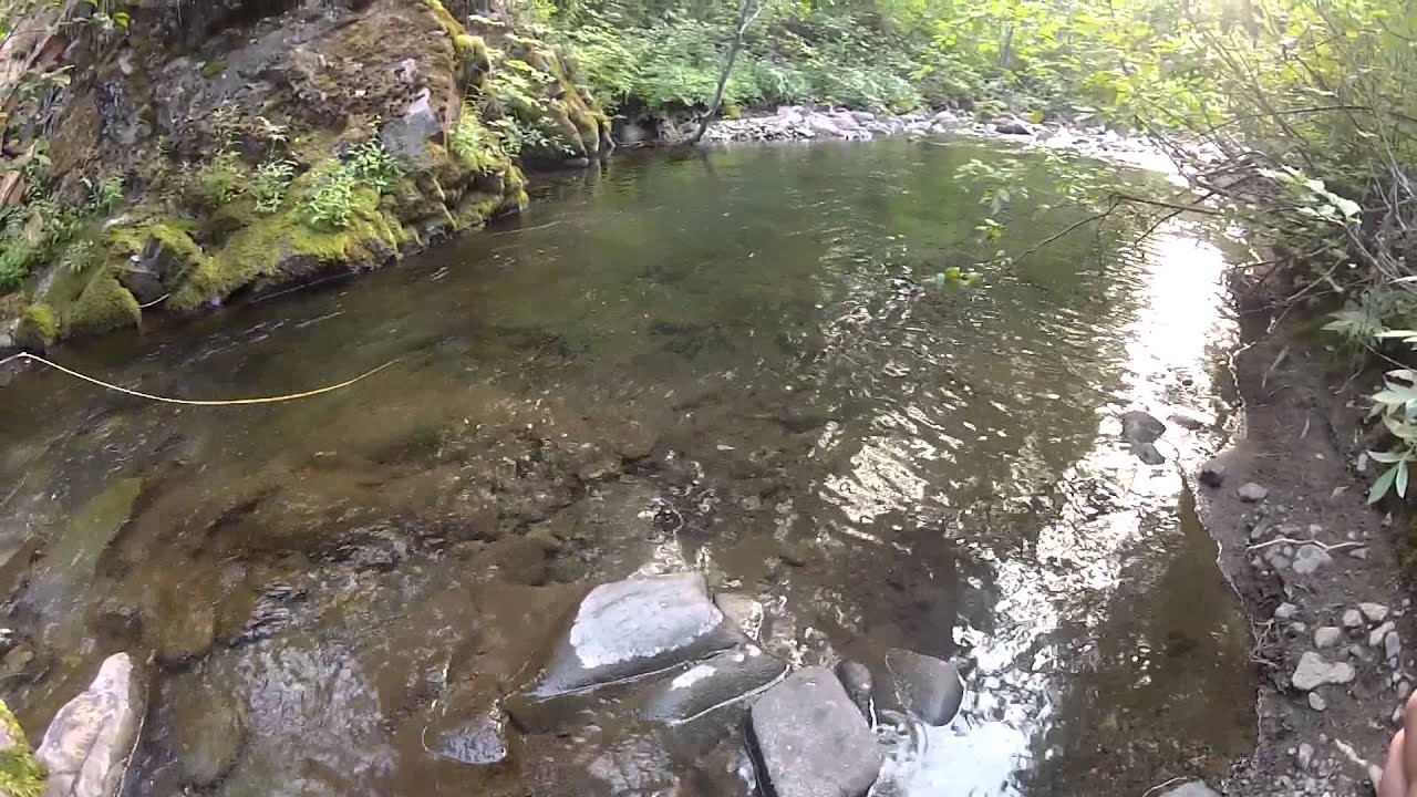 Fly Fishing The North Fork Teanaway and Tributaries YouTube