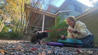 Fozzie.TLSplatformPLSdisc.11.24.25