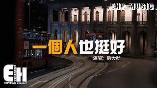 劉大壯 - 一個人也挺好（正式版）『一個人也挺好 想哭就會笑，是我無可救藥 給不了你想要。』【動態歌詞/Vietsub/Pinyin Lyrics】