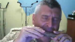 Leonard Cohen - Hallelujah - Shrek - harmonica chords