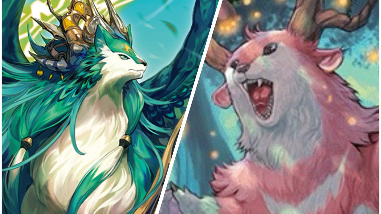 The Blue Roar… Cardfight!! Vanguard Divinez Magnolia Deck Profile (October 2025)