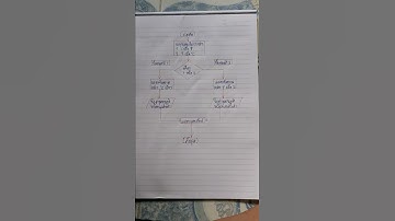 เขียนโปรเเกรมภาษา C ด้วย โฟชาบ