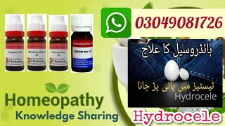 hydrocele ka ilaj, homeopathic medicine for hydrocele | sign & symptoms in hindi