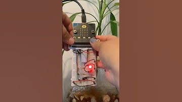 Breadboarding - Module 3
