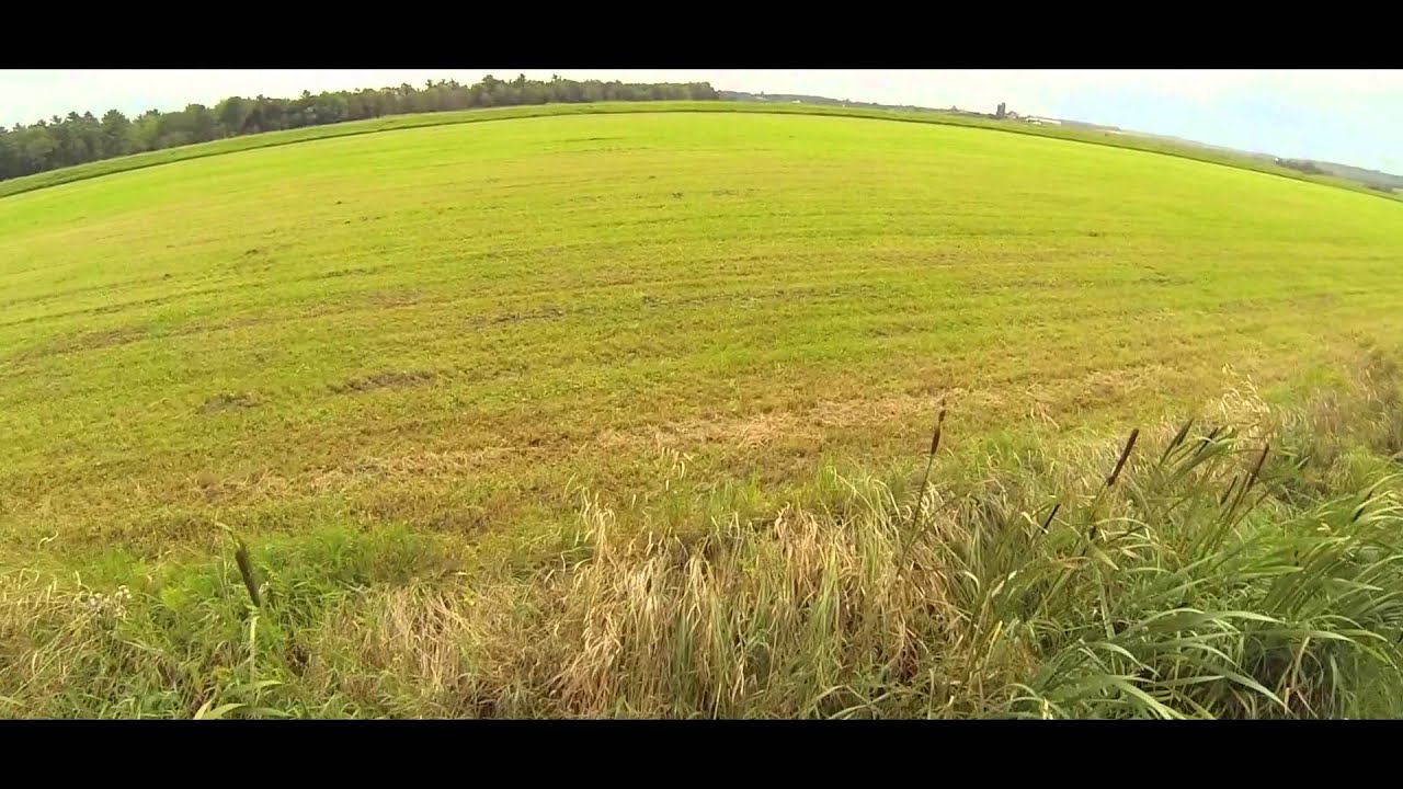 phantom video - YouTube