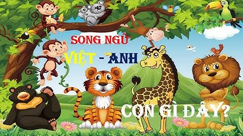 Con Gì Đây | Dạy Bé Đọc Tên Các Con Vật | Song Ngữ Anh Việt các loài động vật #8